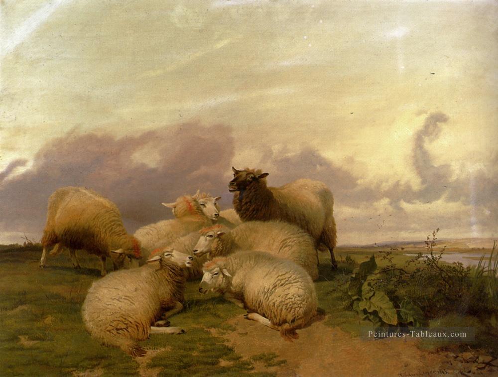 Moutons dans les Prairies de Canterbury Animaux de ferme Thomas Sidney Cooper Peintures à l'huile